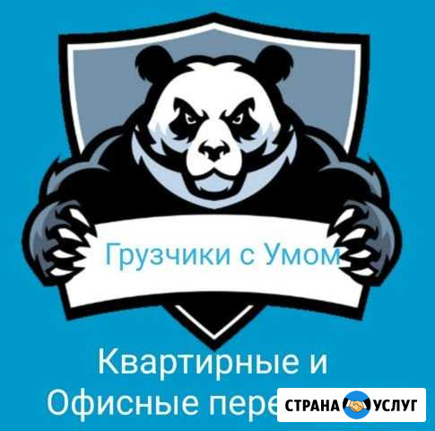 Грузчики Бийск - изображение 1