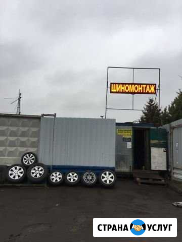 Шиномонтаж, продажа резины, дисков, выкуп Мытищи - изображение 1