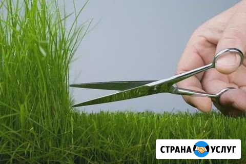 Покос травы Можайск - изображение 1