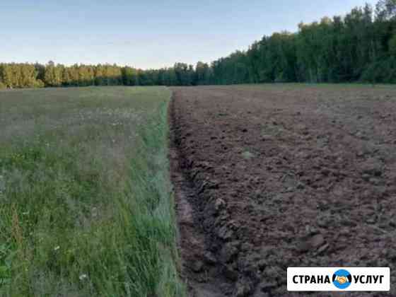 Пахота,дисковка,посев, услуги по культивации земли Костерево