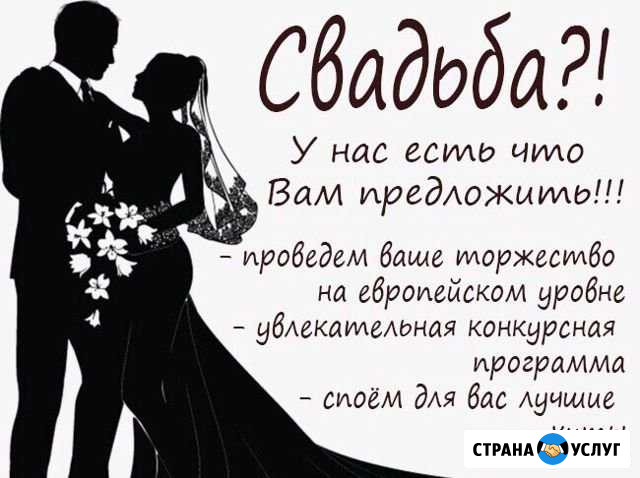Проведение праздников Россошь - изображение 1