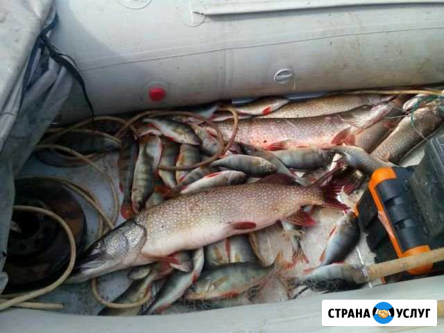 Отдых на таежном озере Пермь - изображение 1