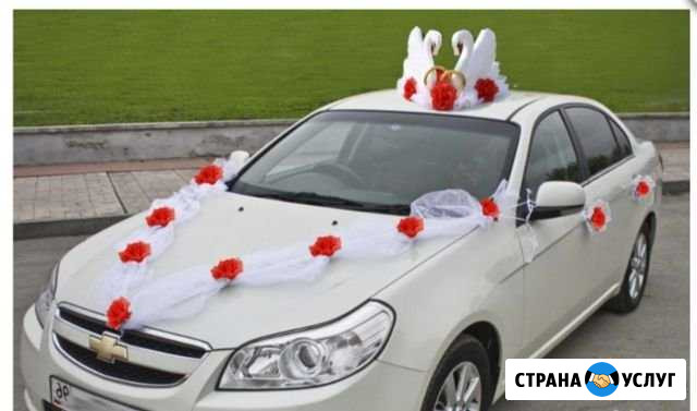 Украшение свадебного автомобиля Лесной - изображение 1