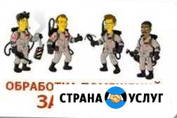 Смоленск. Уничтожение клопов и тараканов, клещей Смоленск - изображение 1