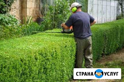 Пакос траву, обрезка живой изгороди Иркутск - изображение 1