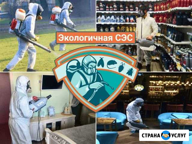Обработка от клопов, клещей, кротов, ос Орёл Орёл - изображение 1