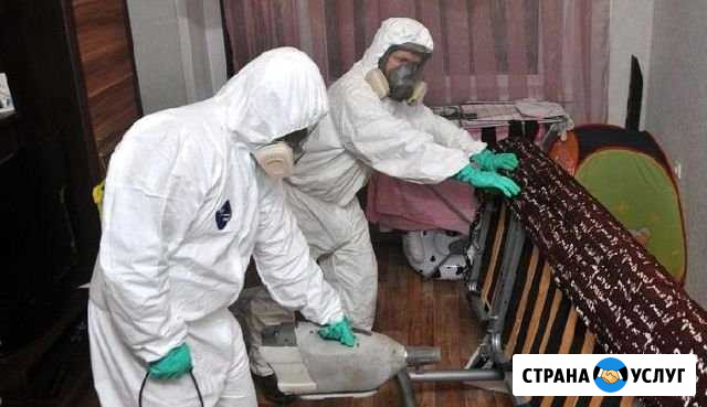 Уничтожение клопов и тараканов с гарантией Санкт-Петербург - изображение 1