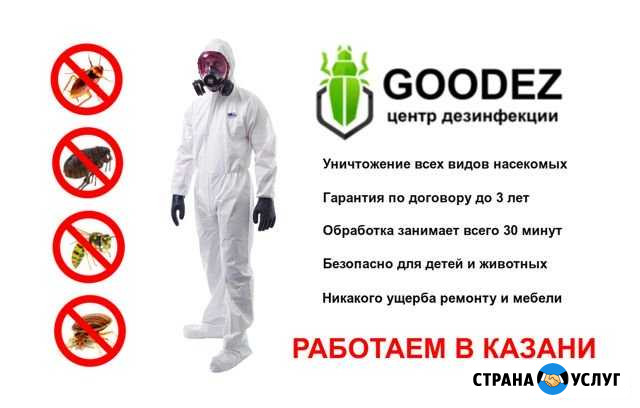 Уничтожение насекомых, тараканов, клопов, грызунов Казань - изображение 1