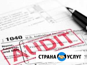 Аудиторская проверка Екатеринбург - изображение 1