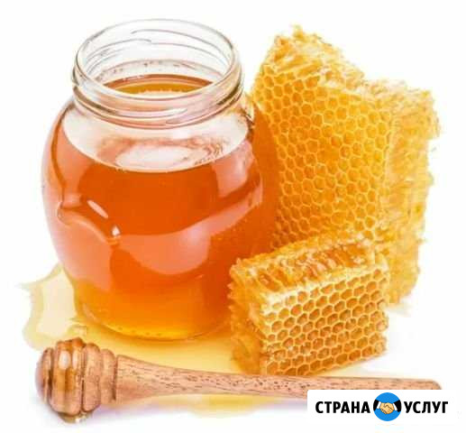 Свежий урожай меда 2020 Невьянск - изображение 1