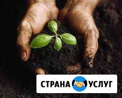 Приму Грунт, Песок, Строительный мусор Сызрань - изображение 1