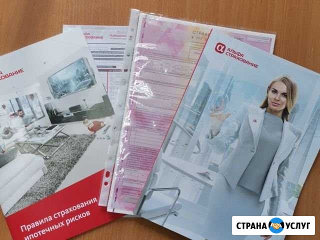 Наберём за вас текст при оформление осаго Линда - изображение 1
