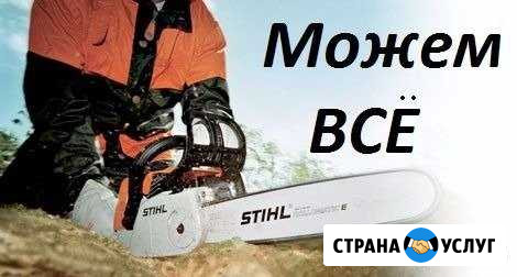 Услуги по удалению/спилу сложных и аварийных дерев Кинель - изображение 1