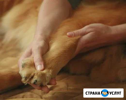 Массаж Барнаул - изображение 1