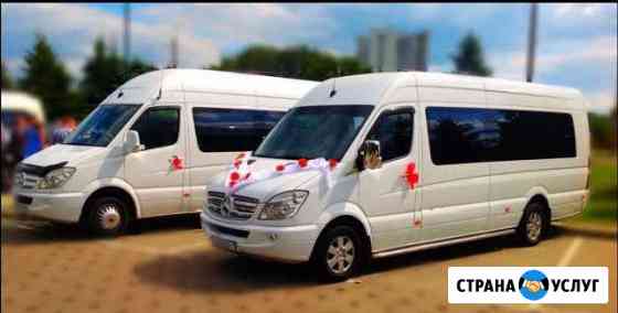 Аренда, заказ микроавтобуса Mercedes Москва