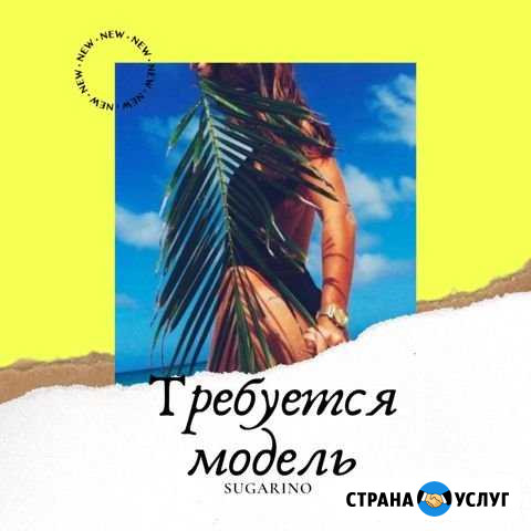 Модель на бесплатную депиляцию Санкт-Петербург - изображение 1