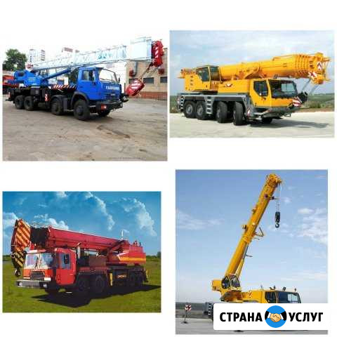 Аренда автокрана 25, 32, 40, 50, 70, 100, 130, 200 Санкт-Петербург - изображение 1
