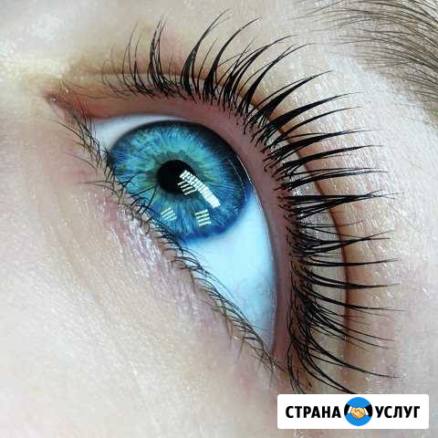 Ламинирование и ботокс ресниц Нижний Новгород - изображение 1