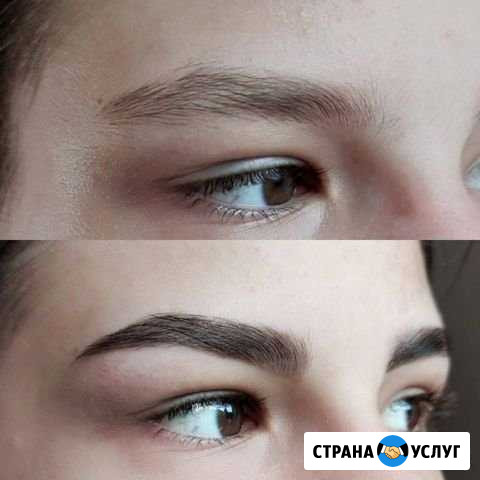 Коррекция и окрашивание бровей Путевка - изображение 1