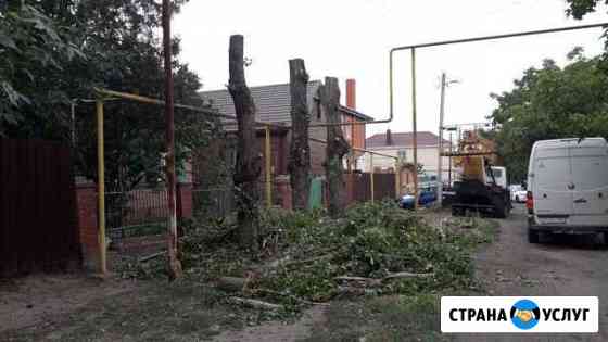 Спил Деревьев.Кронирование.Вышка.Вывоз Азов