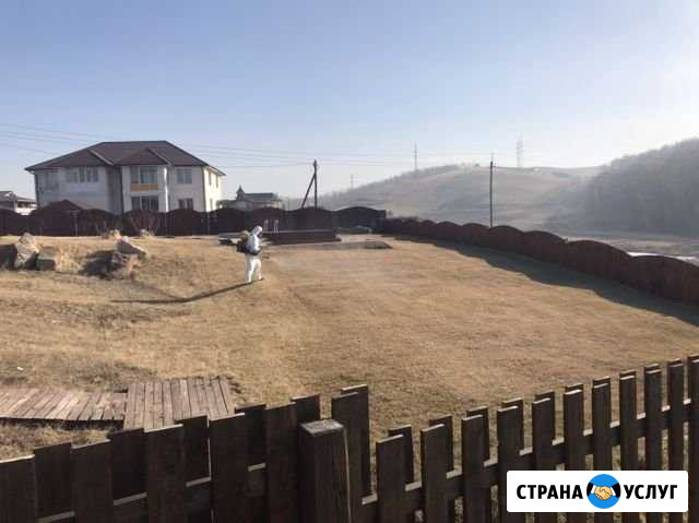 Обработка от клещей, Клопы, муравьи, тараканы Красноярск - изображение 1