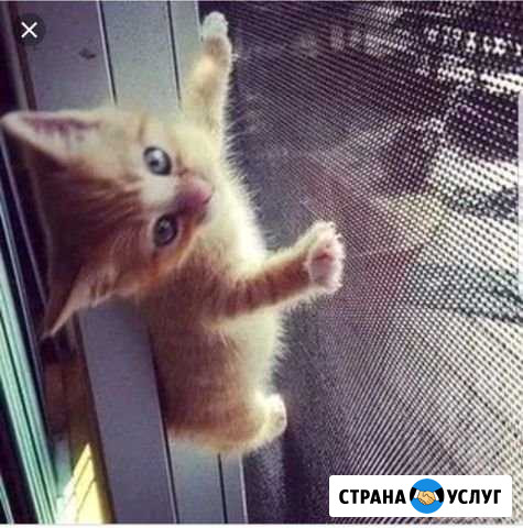 Изготовление москитных сеток (антикошка) Архангельск - изображение 1