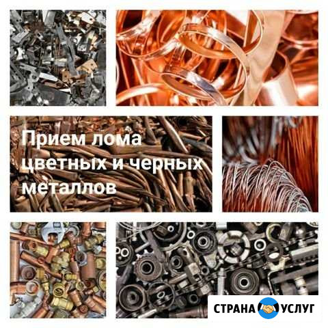 Прием лома цветных и черных металлов Гатчина - изображение 1
