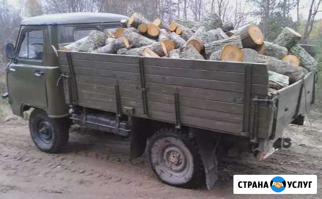 Дрова Подбельск - изображение 1
