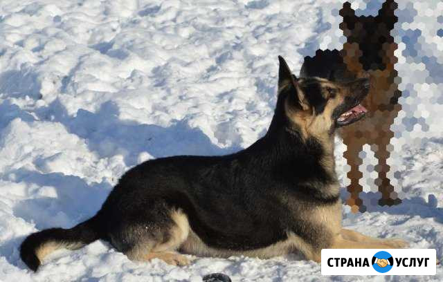 Вязка Новохоперск - изображение 1