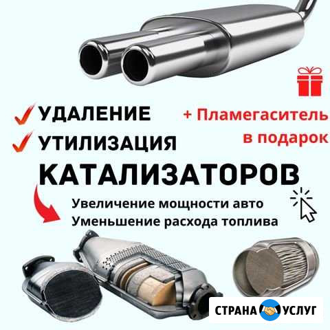 Удаление катализаторов Орёл - изображение 1