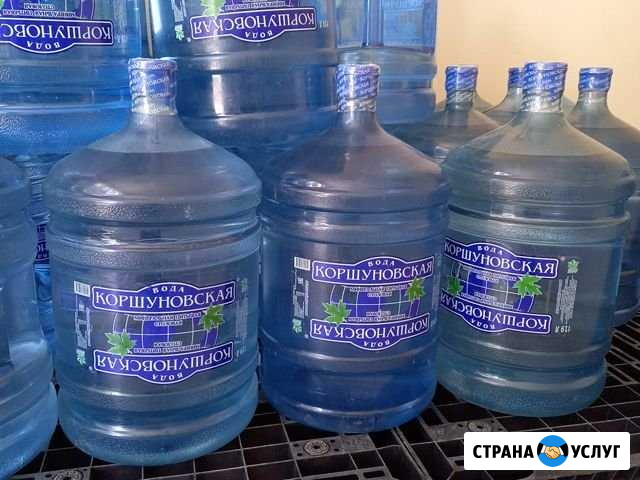 Доставка Коршуновская воды Новочеркасск - изображение 1