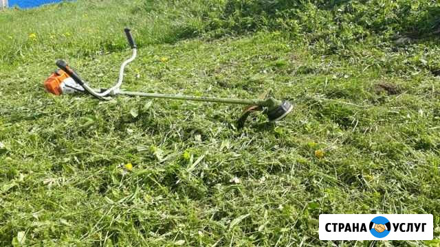 Покос травы, спил деревьев Павлово - изображение 1