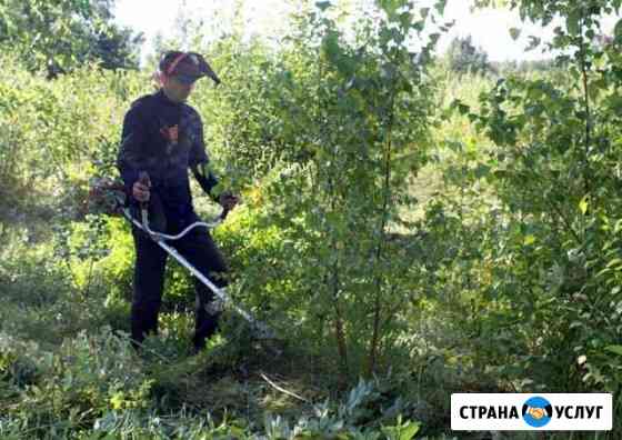 Покос травы, уборка участка Тамбов