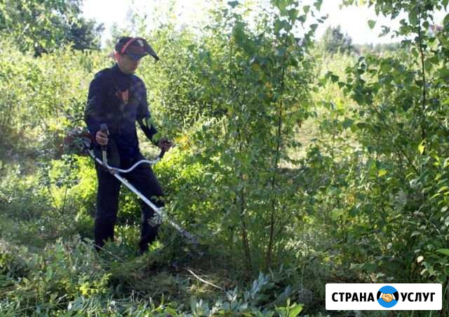 Покос травы, уборка участка Тамбов - изображение 1