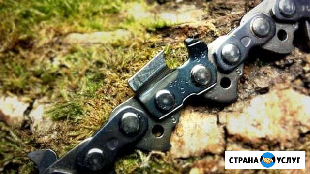 Заточка цепей для пил Дзержинск - изображение 1