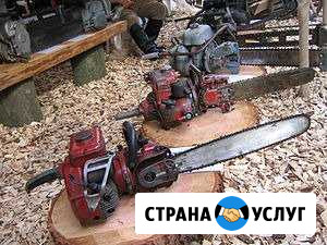Прокат бензопилы Таганрог - изображение 1