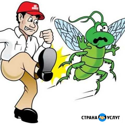 Уничтожение насекомых Черемхово - изображение 1