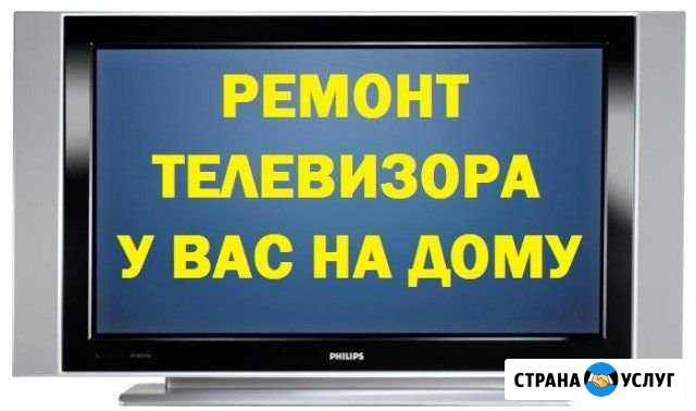 Ремонт телевизоров Светлогорск - изображение 1