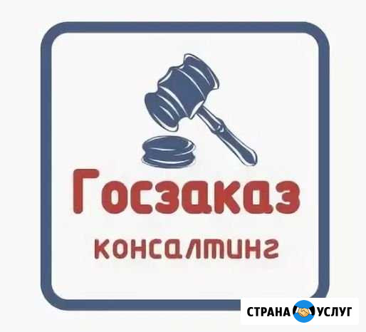 Тендерное сопровождение под ключ Благовещенск - изображение 1
