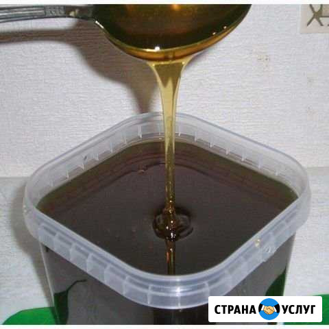 Продам мёд Оренбург - изображение 1