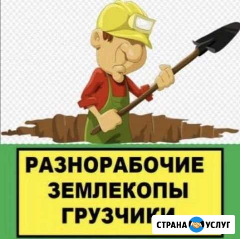Копка Покос травы,Спил дерева,Уборка Владикавказ - изображение 1