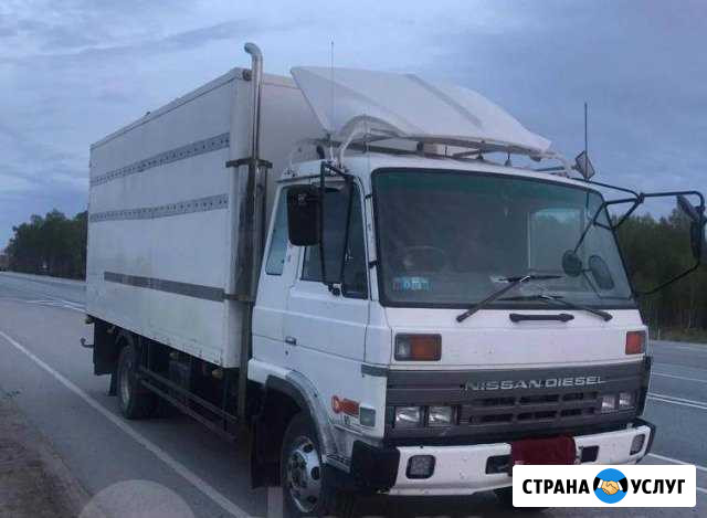 Nissan Рефрижератор, 5 т, грузоперевозки Рубцовск - изображение 1