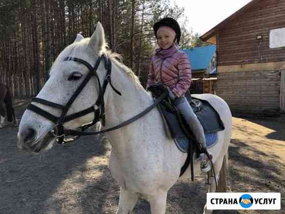 Прогулки на лошадях Иркутск