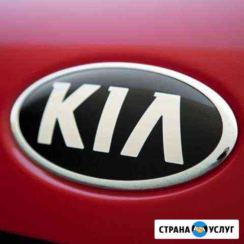 KIA автоэлектрик выезд Москва