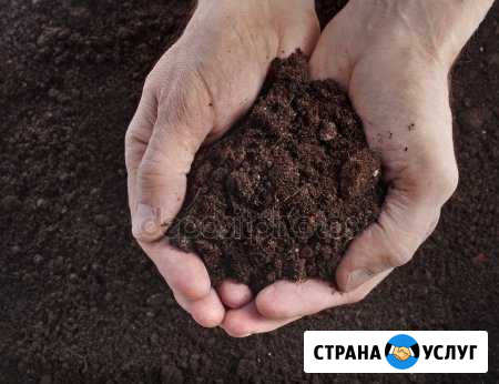 Расчистка участков. Услуги спец. техники Киржач - изображение 1