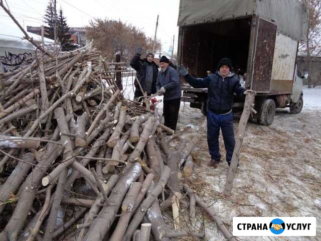 Вывоз мусора,веток,старой мебели Все районы и Дачи Омск - изображение 1