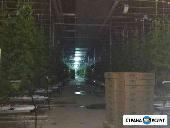 Ищу инвестора Омск