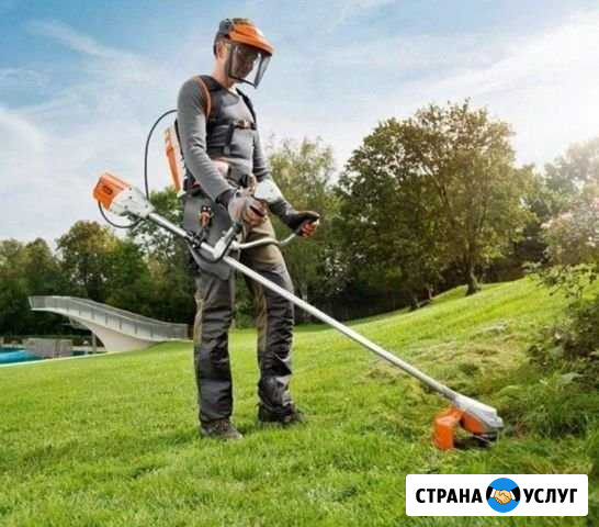 Покос травы Данилов - изображение 1