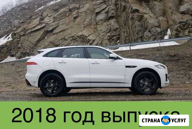 Прокат Jaguar F-Pace в Республике Алтай Горно-Алтайск - изображение 1