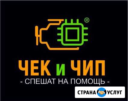 Ремонт сложной автоэлектроники, снятие ошибок Новосибирск - изображение 1